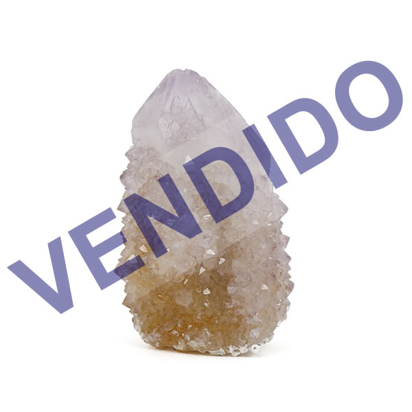 C.C-30-1-WEB-VENDIDO